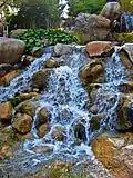 Japanese water garden
