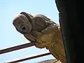 A gargoyle in Antwerpen, Belgium