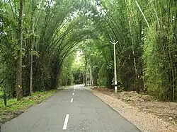 Wayanad scenery on NH 212 Kozhikode-Kollegal