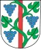 Coat of arms of Weinfelden