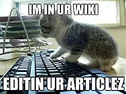 A cat with its paws above a keyboard, with the caption,"IM IN UR WIKI EDITIN UR ARTICLEZ"
