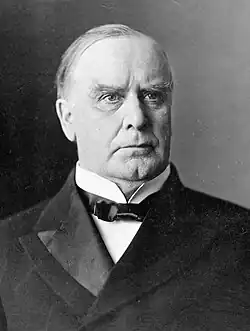 Black-and-white photographic portrait of William McKinley