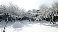 Kargil in the winter