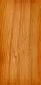 Fir