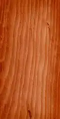 Larch