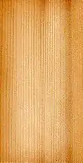 Spruce