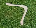 Boomerang