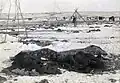 Destroyed Lakota Indian reservation after the Wounded Knee Massacre (1890)