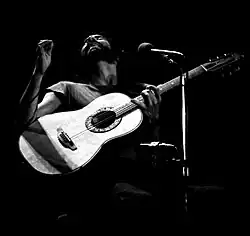 Cat Stevens in Böblingen, Germany in year 1976