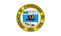 Flag of Zamboanga del Sur