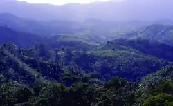 Hills covered with dense blue green tropical forests