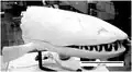 Model of Edenopteron