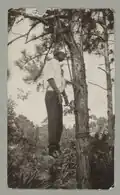 Lynching of James Clark July 11, 1926 Florida